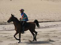 /international/2006Walvisbay/images/Final/thumbnails/final 012.jpg